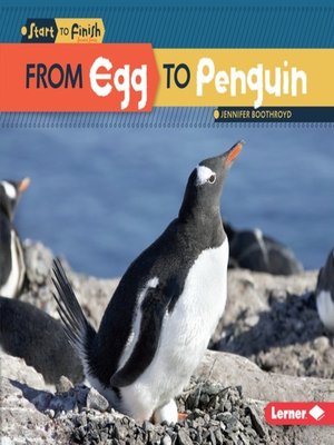 cover image of From Egg to Penguin